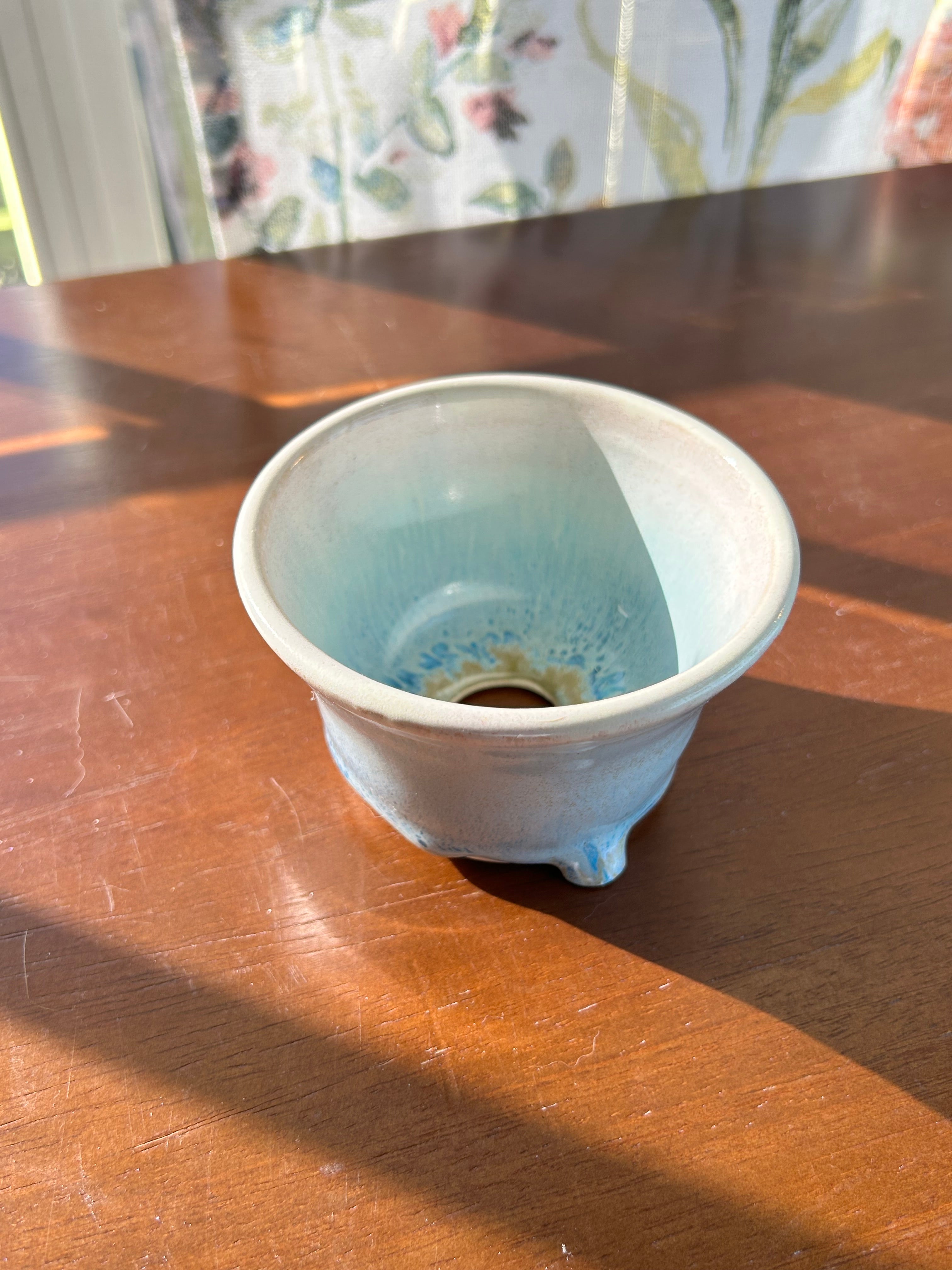 Green plant pot